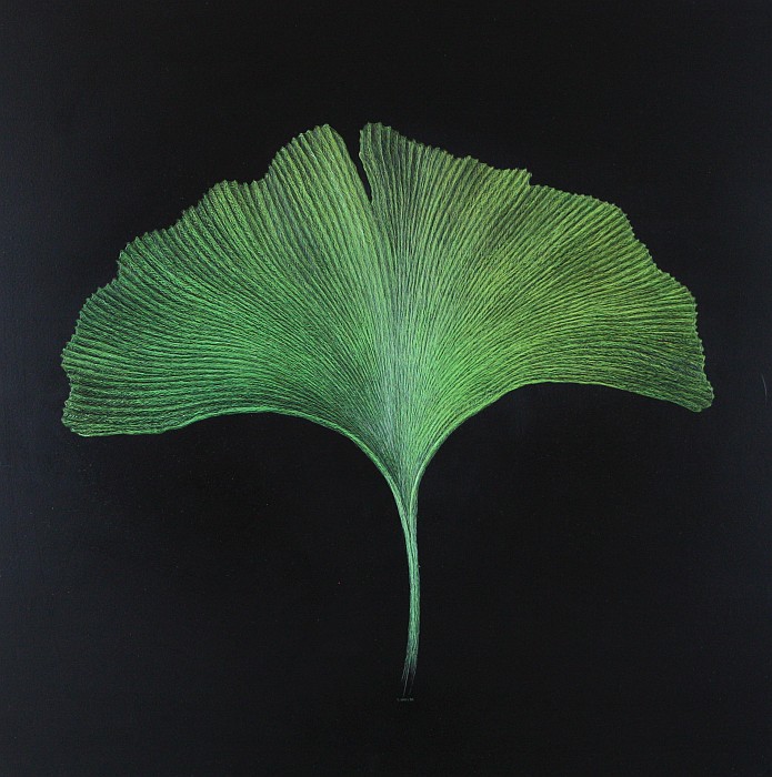 Ginkgo II