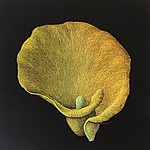 2019-calla.jpg