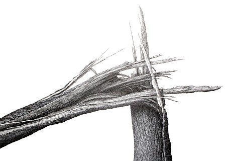 Photo der Zeichnung &bdquo;Umbruch&ldquo;